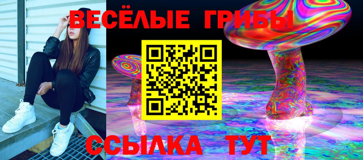 Псилоцибиновые грибы Magic Shrooms  Вход с VPN  купить   Саратов 